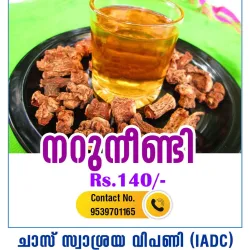 Naruneendi