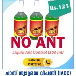 No Ant