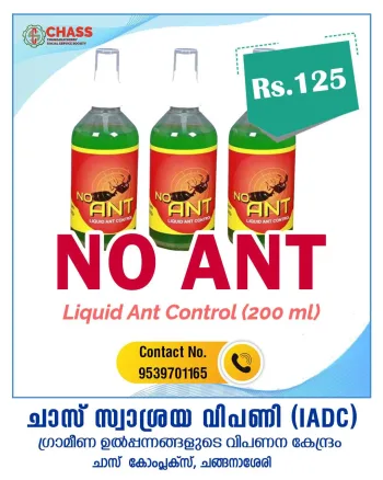 No Ant