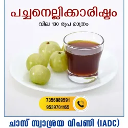 Pacha Nellikkarishtam