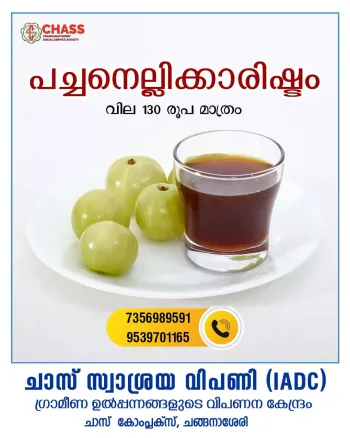 Pacha Nellikkarishtam