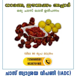Lemon Dates Pickle