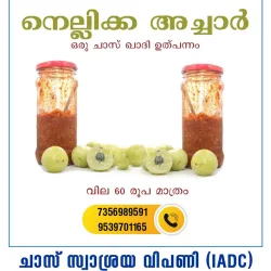 Amla Pickle