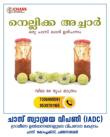 Amla Pickle