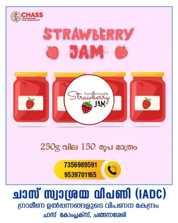 Strawberry Jam - Image 2