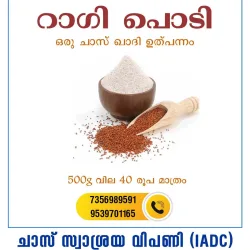 Ragi Flour