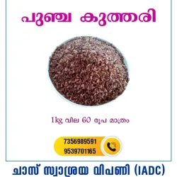 Punja Kuthari