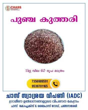Punja Kuthari