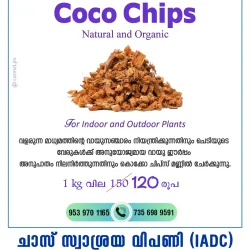 Coco Chips