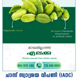 Cardamom