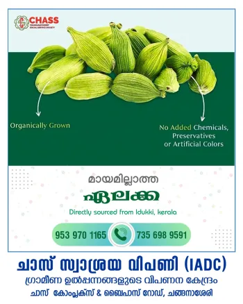 Cardamom