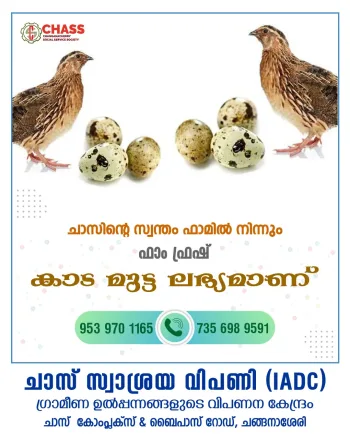 Kada Mutta