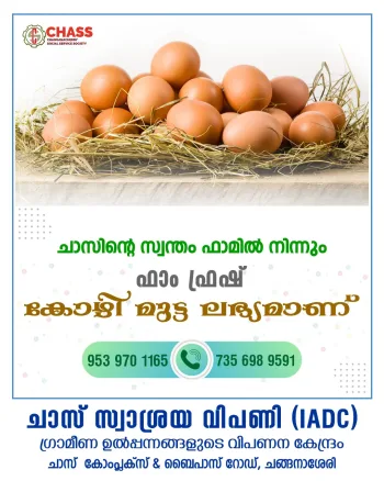 Kozhi Mutta