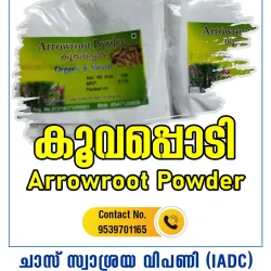 Arrowroot