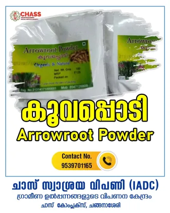 Arrowroot