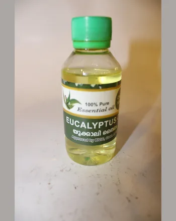 Eucalyptus