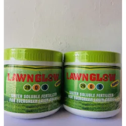 Water Soluble Fertilizer