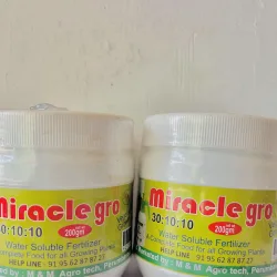 Water Soluble Fertilizer