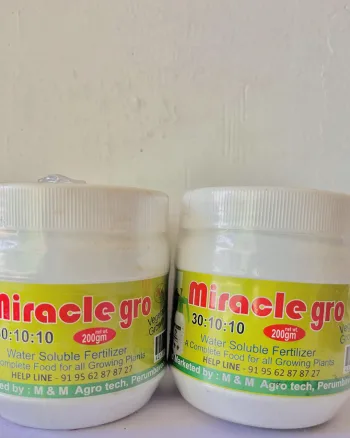 Water Soluble Fertilizer